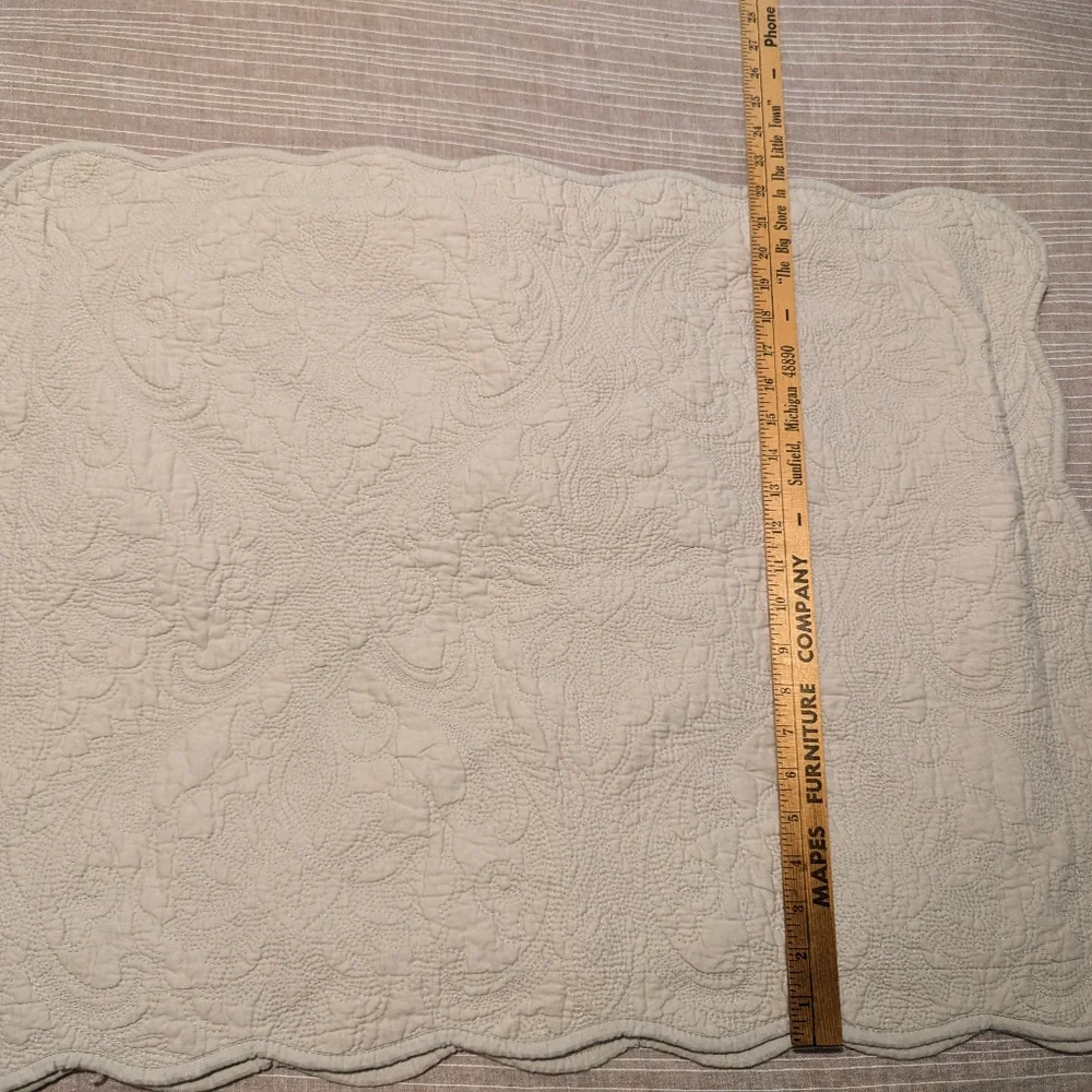 Casa zeta Jones 100% cotton pillow shams set of 2